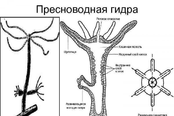 Как зайти на кракен без тора