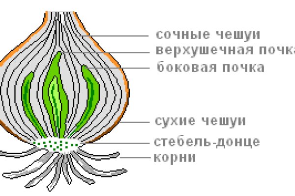 Адрес кракен в тор